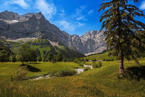 Large maple soil in the Karwendel nature park Park in Rißtal, Hinterriß, Tyrol, Austria
