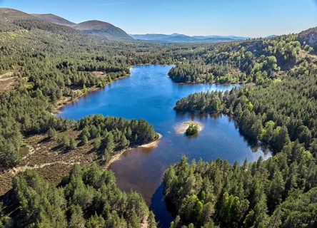 Aerial drone photo of the Mountain and Forest landscape at Loch Eilein in the Cairn Gorm National