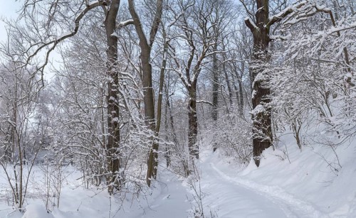 Germany, Greiz, Mildenfurth, Thuringia, Weidatal, Wünschendorf, ice, landscape, snow, Vogtland,