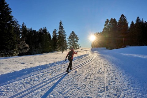 Sportive woman crosscountry skiing at sunset in the Bregenz Forest mountains, Sulzberg, Vorarlberg,