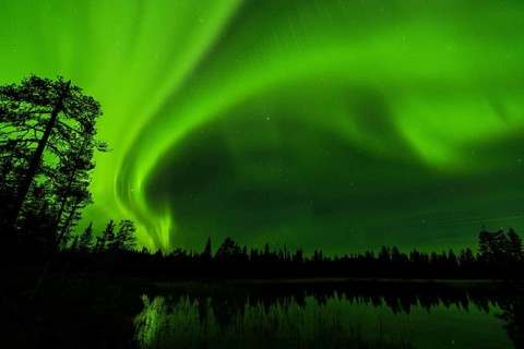 Northern Lights (Aurora borealis), Muddus National Park, Laponia World Heritage Site, Norrbotten,