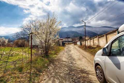 Campervan on the road, driving on unpaved dirt road, blossoms of a fruit tree, awakening nature in