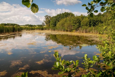 Friessnitzer See-Struth, Germany, Greiz, Seewiesen, Thuringia, small water, landscape, nature