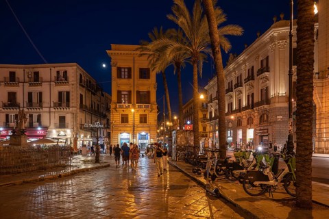 Stroller between illuminated historic buildings and palm trees, Palermo, Sicily, Italy