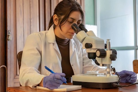 Close-up of a young female scientist in white lab coat and purple gloves intently looking through a