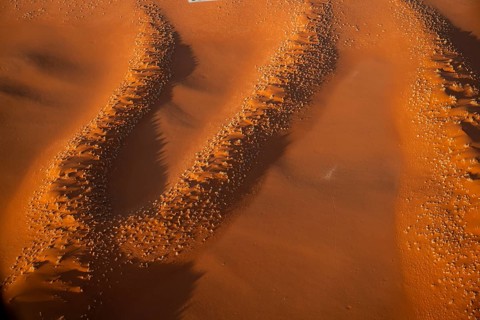 Aerial view, detailed view of a sand dune in the Namib Desert, Namib Naukluft Park, Namibia