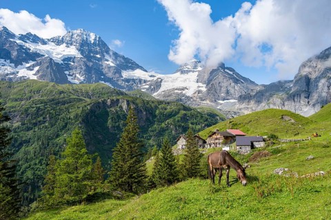 Picturesque mountain landscape with horse on a mountain meadow and Berghotel Obersteinberg,