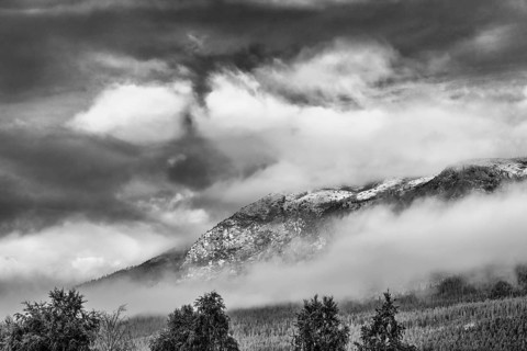 Morning atmosphere, Alvdal Vestfjell, Hedmark, Innlandet, Norway, July 2026