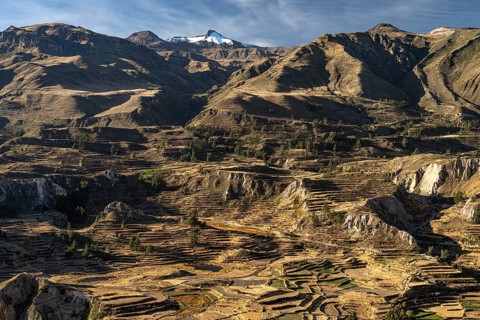 Mountain landscape with terraced fields in Colcacanon, Canon del Colca, Southern Peru, Andes, Peru,