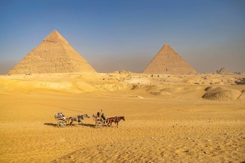 Horse-drawn carriages in the desert near the Giza pyramids, Egypt