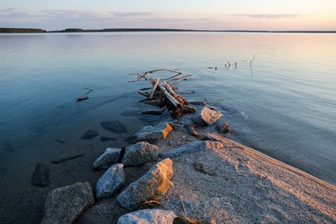 On the shores of Lake Sedlitz, Lieske, 21.04.2026. Sedlitzer See is a lake in the Lusatian Lake