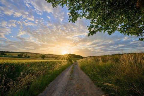 A dirt road leading into sunset, framed by fields and an impressive sky, Rosshof, Großheubach,