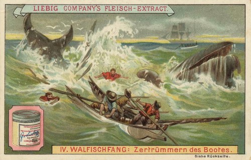 Whaling picture series, dramatic scene of whale hunting in which a whale destroys a rowing boat and
