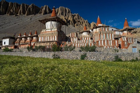 Buddhist stupas, including choertes, barley field, tangge, mustang, upper mustang, former kingdom,