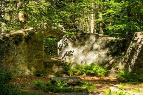 The Barbara Chapel is the historic ruin of the same name in the Dippoldiswald Heath. The town built