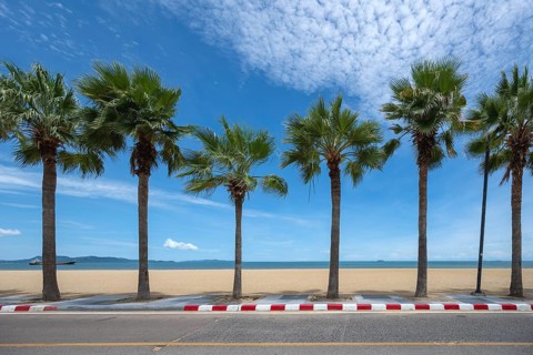 Palm trees and beach, Jomtien, Thailand