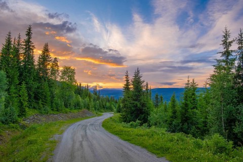 View along a dirt road leading through a forest in the mountains at sunset, Gol, Halligdal,