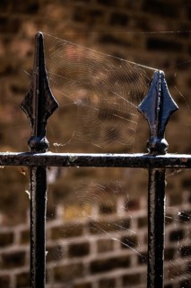 Close-up of a black painted metal fence with spider web in sunlight in front of a brick wall,
