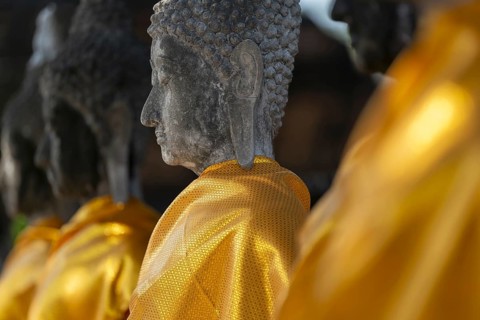 Row of Buddha statues with golden yellow tunic around the Great Chedi Chaya Mongkol, Wat Yai Chai