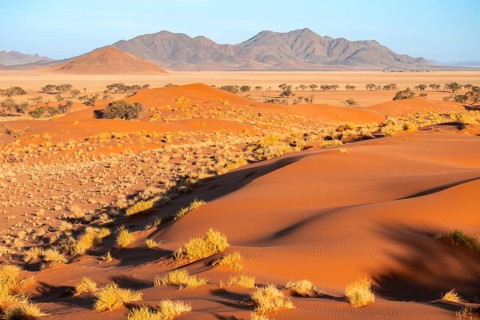Evening atmosphere, sand dunes, landscape in the NamibRand Nature Reserve, Naukluft Mountains in