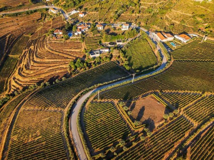 Drone view of vineyards and hills in Douro Valley, Portugal, with Douro valley hills, terraced
