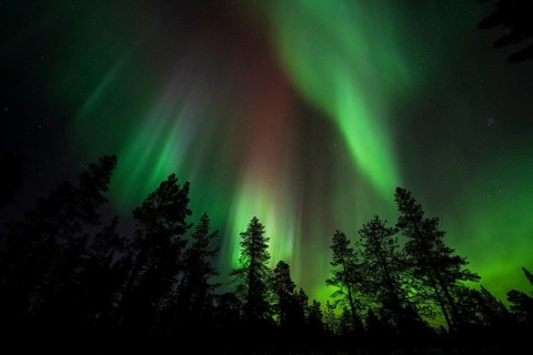Northern Lights (Aurora borealis), Norrbotten, Lapland, Sweden, October 2022