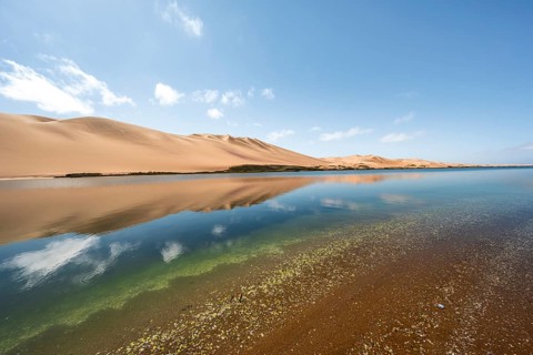 Sand dunes are reflected in the lagoon at Sandwich Harbour, Namib Naukluft Park, Namib Desert,