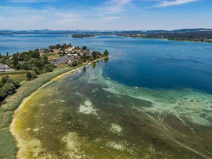 Reichenau island in Lake Constance with St. Peter and Paul church. The water level of Lake