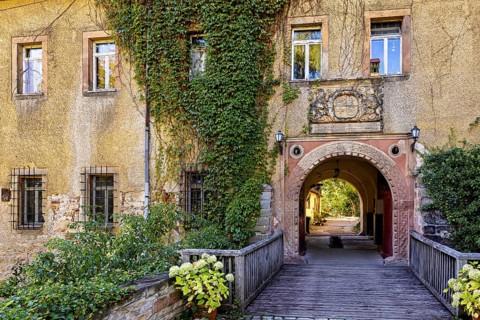 An archway in the castle covered with ivy leading to a courtyard, Tonndorf Castle in the Weimar