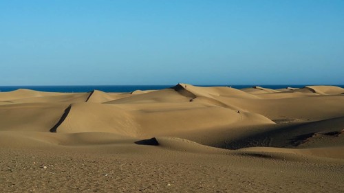 Sand dunes stretch in a tranquil desert landscape under a clear blue sky, Maspalomas Dunes, Gran