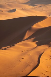 Red and yellow sand dunes of the Namib, Namib Desert, Namib-Naukluft National Park, Namibia