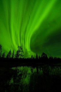 Northern Lights (Aurora borealis), Muddus National Park, Laponia World Heritage Site, Norrbotten,