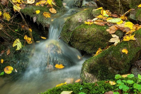 Autumn, stream, flowing water, autumn, landscape, spring area