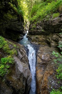 Small mountain stream in the forest, Mettlenalp, Bernese Alps, Bernese Oberland, Switzerland