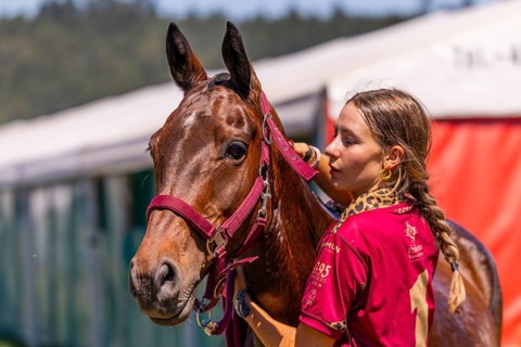 Polo player holding a horse, polo horse, polo pony (Equus), polo tournament, 1295 Polo Masters,