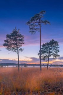 Husum, Nienburg, Lower Saxony, Germany