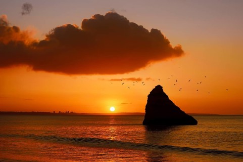 Rocks in the sea and flying seagulls at sunrise, Praia Dona Ana, Lagos, Algarve, Portugal