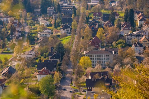 View of a green residential area with roads and trees in spring, Bregenz, Austria