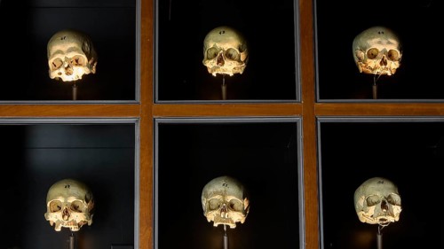 Museo de la Naturaleza y el Hombre, Natural History and Anthropological Museum, Six illuminated