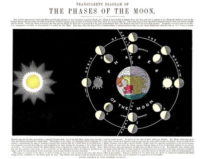 The Moon's orbit around the Earth and the formation of the various phases of the Moon. The graphic
