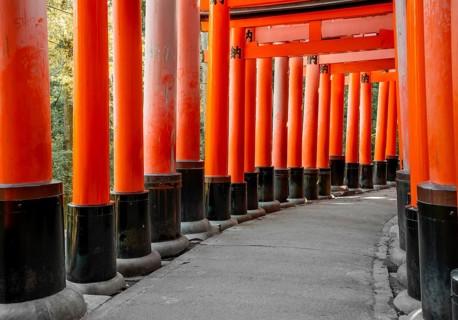 Walk through hundreds of red traditional torii gates, Fushimi Inari Taisha, Shinto Shrine, Fushimi