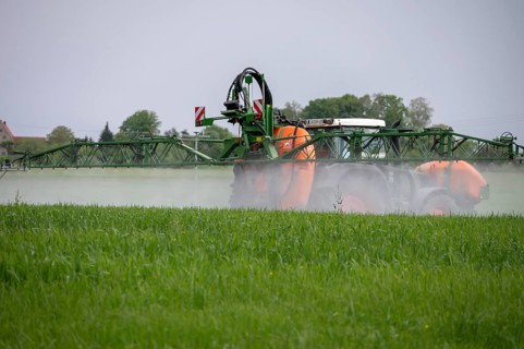 Farmer fighting weeds in his meadow, Beerbach, Middle Franconia, Bavaria, Germany