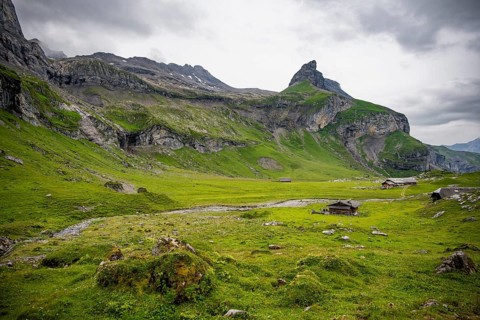 Alpine pastures and alpine meadows on Kienboden, green mountains, Bernese Alps, Bernese Oberland,