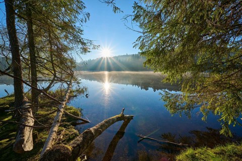Sunrise illuminates the lake surrounded by trees in peaceful morning, Windgfällweiher, Lenzkirch,