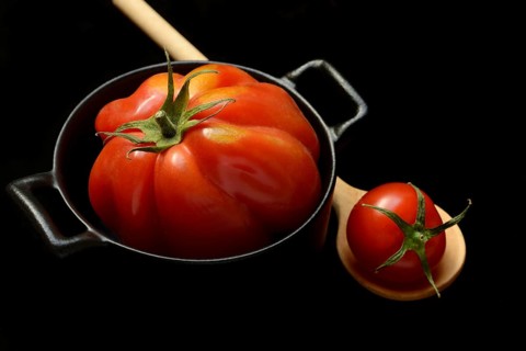 Oxheart tomato in pot, Solanum lycopersicum