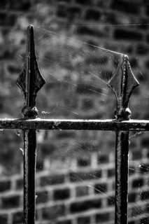 Black and white photo of a black painted metal fence with spider web in sunlight against a brick