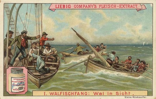Picture series whaling, whale in sight, fishermen in rowing boats on the high seas who have spotted