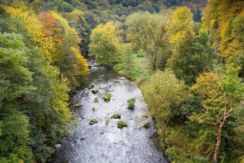Germany, Greiz, Saxony, Weiße Elster, aerial view, autumn, Elstertal, autumn, landscape, aerial
