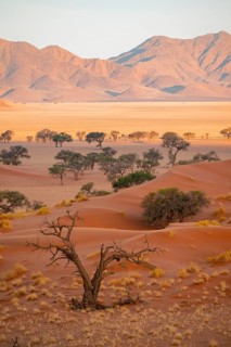 Dry landscape in the NamibRand nature reserve, behind Naukluft Mountains, Namib Desert, Namibia