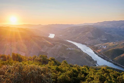 Aerial sunrise view of the Douro River and terraced vineyard hills in the Douro Valley, Portugal,